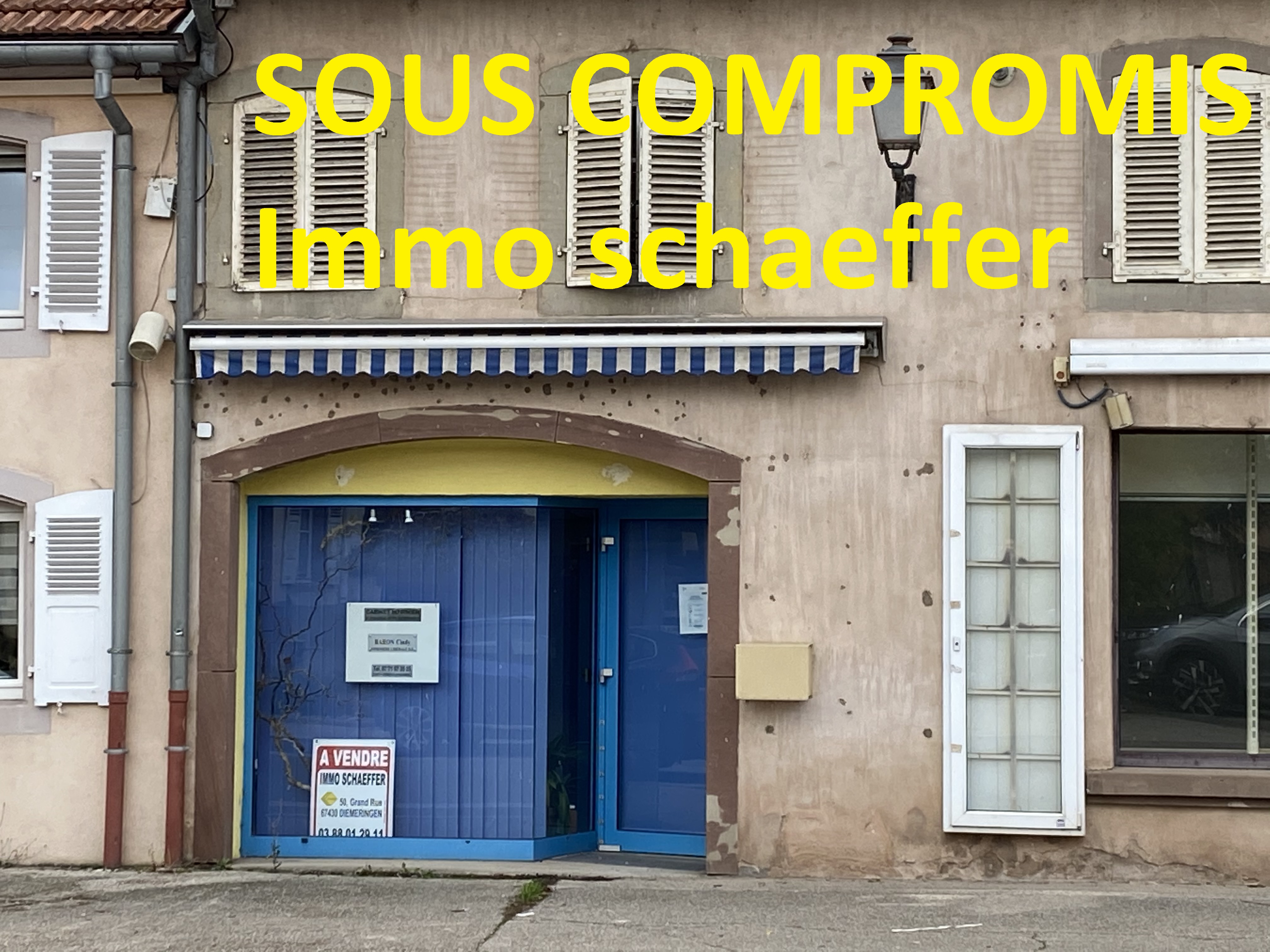vente immobilier professionnel DIEMERINGEN,